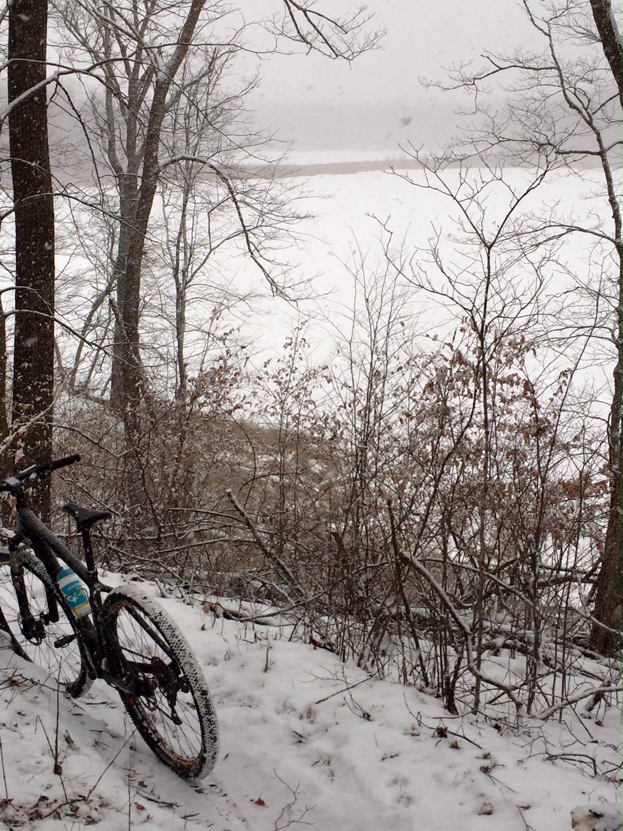 Snowy riding on the Twin Lakes loop. November 30th, 2015.