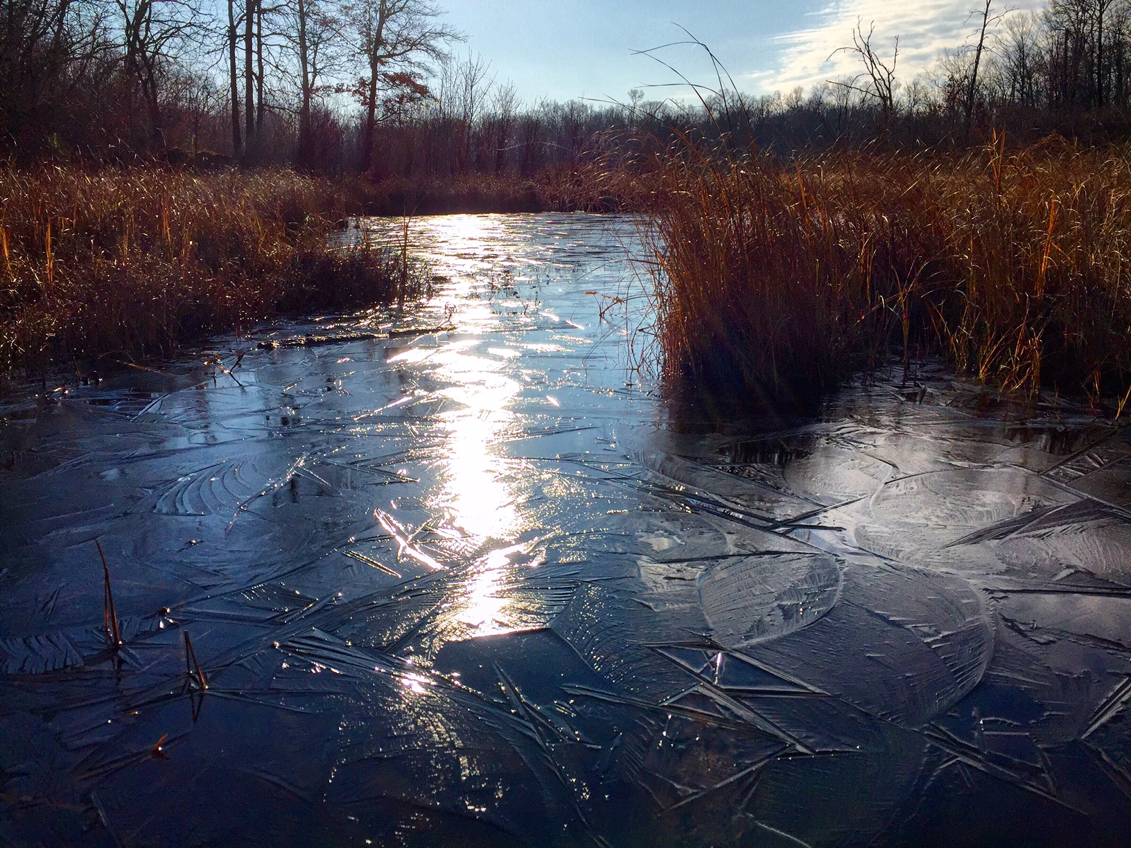 Coating of ice on Kohlepp pond. November 7th, 2015.