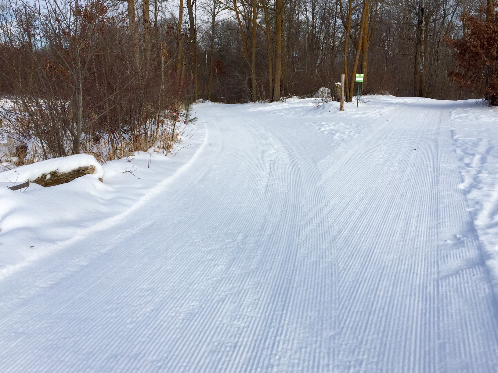 Skaters extension after grooming January 29th, 2016. Bit softer surface deck on top of firm base on Skaters extension. Super skiing on Friday. Grooming again Saturday morning.