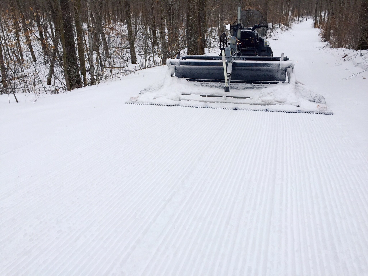 Grooming on Skaters Waltz Friday morning, March 4th, 2016.