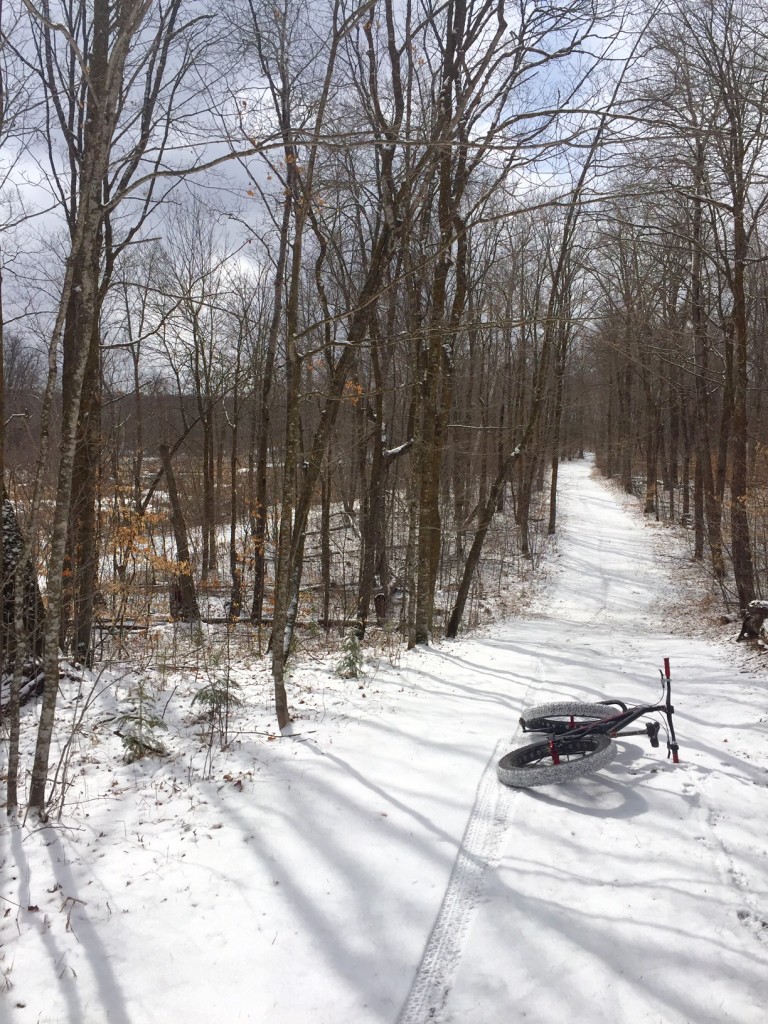 Moment of sunshine while fat biking on the frozen ski trails covered with a dusting of fresh snow. April 8th, 2016.