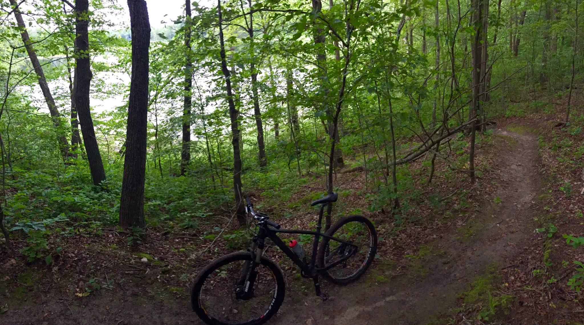 Twin Lakes singletrack, morning July 7th, 2016. 