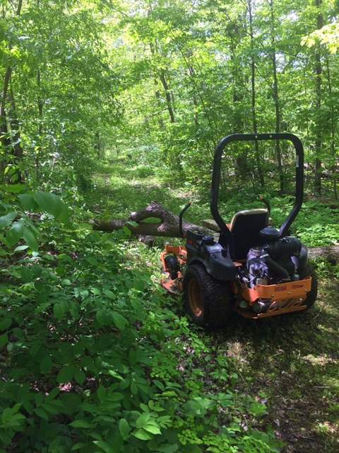 Mowing/clearing on Wavy Gravy trail this week. June 9th, 2016.