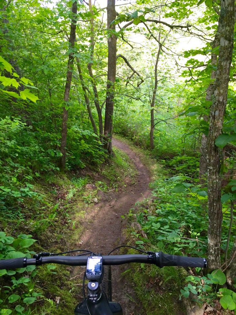 Great riding on the singletrack brushed and cleared yesterday