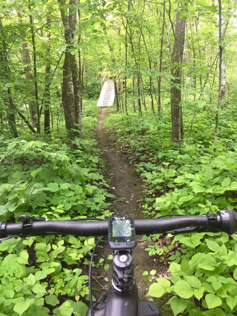 Looking back at the bridge on Twin Lakes singletrack. June 17th, 2016.