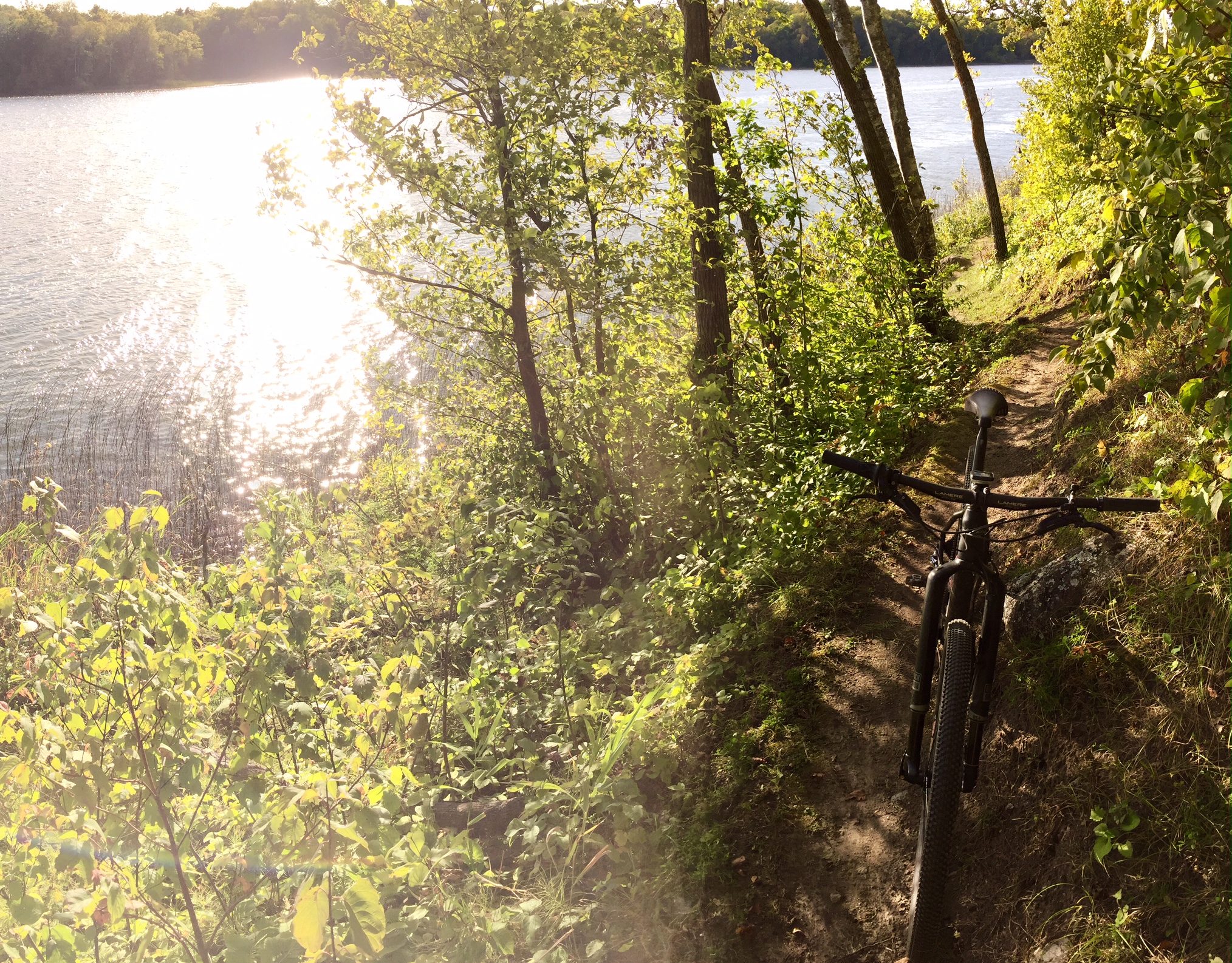 Beautiful evening on the lakeside singletrack. September 11th, 2016.