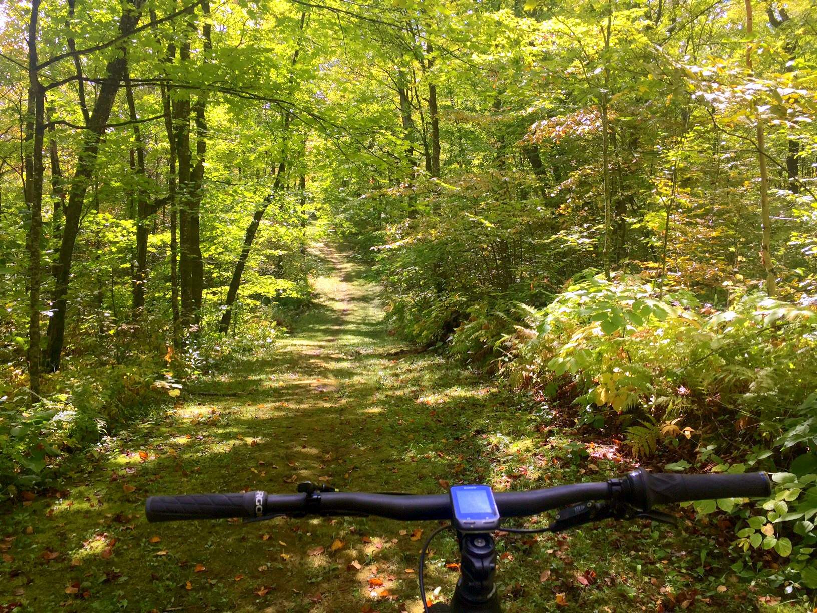 Sukkerbusk ski trail, part of the mountain bike course. September 16th, 2016.