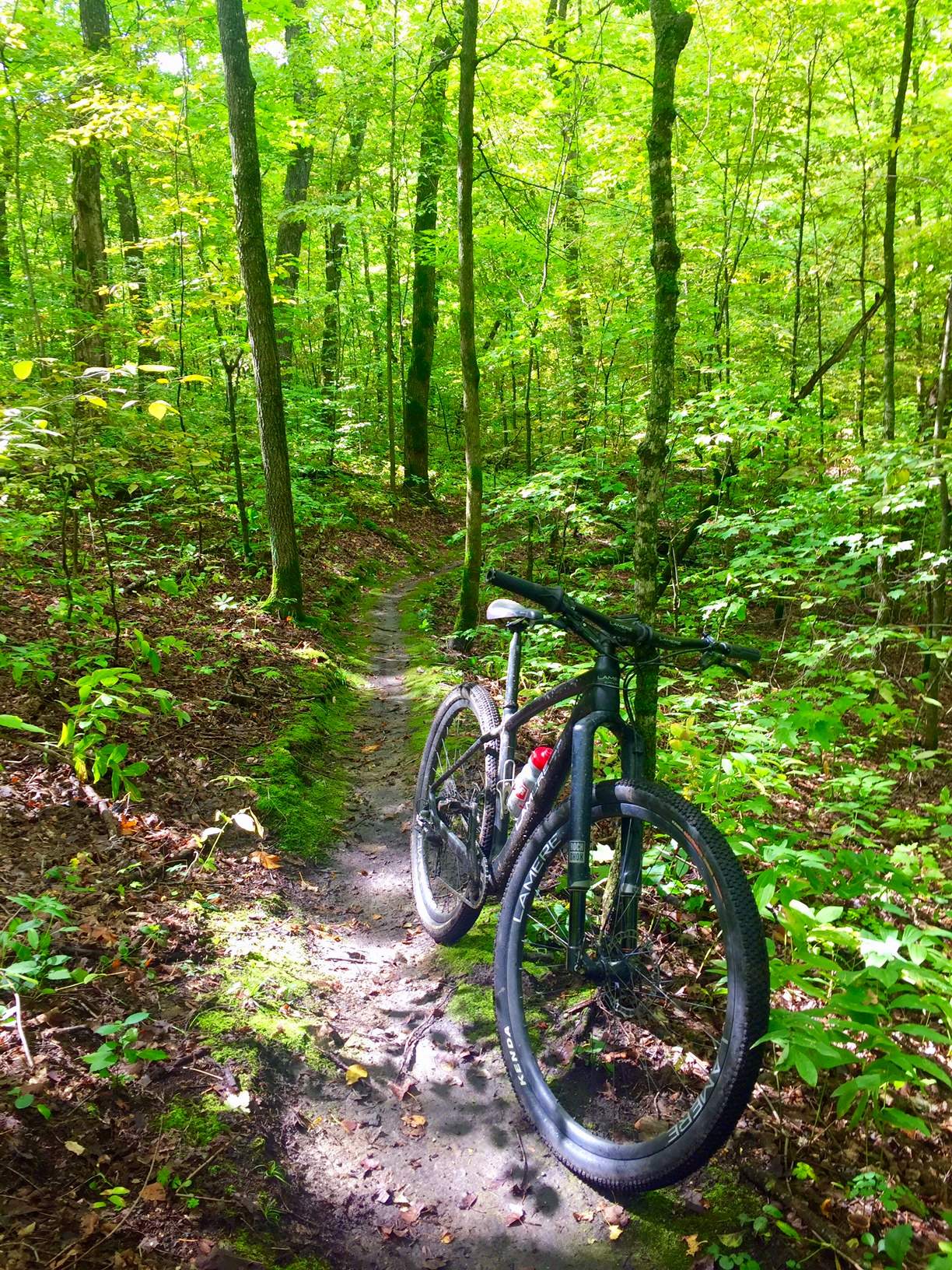 Twin Lakes singletrack on the mountain bike course. September 16th, 2016.