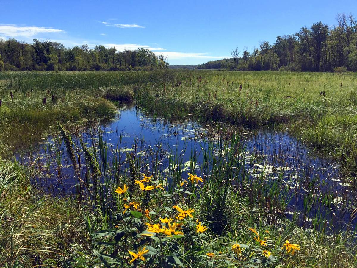 Early Fall scene at the Twin Lakes crossing. September 8th, 2016.