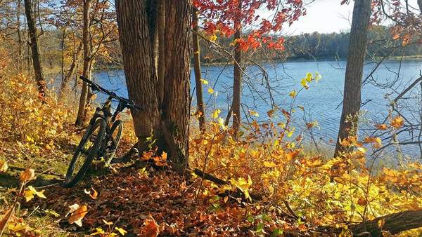 Fall scene near Twin Lakes as capture by Bryan Shoenberger. October 15th, 2016.