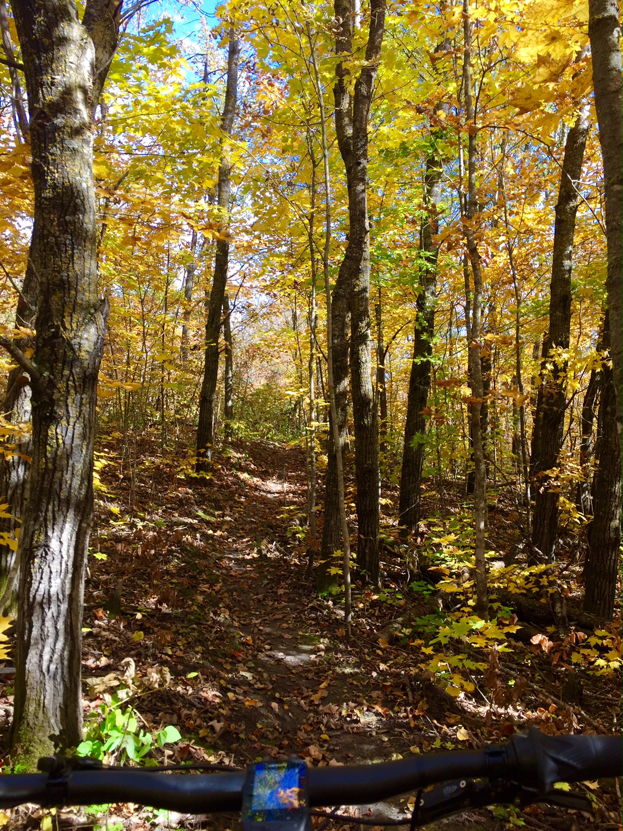 Mountain bike trail