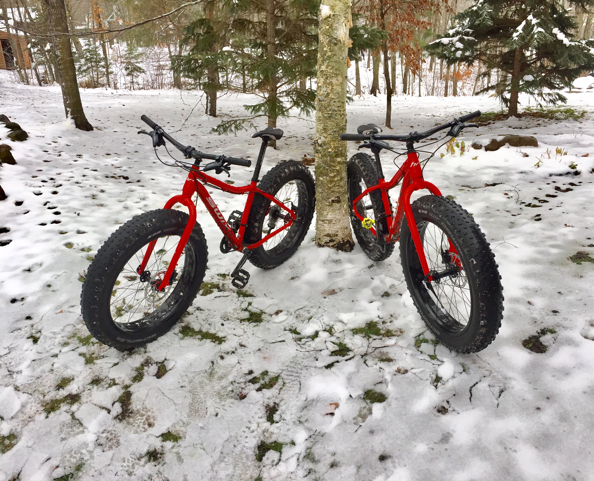 New "Swix" fat bikes added to the fat bike rental fleet this year. 