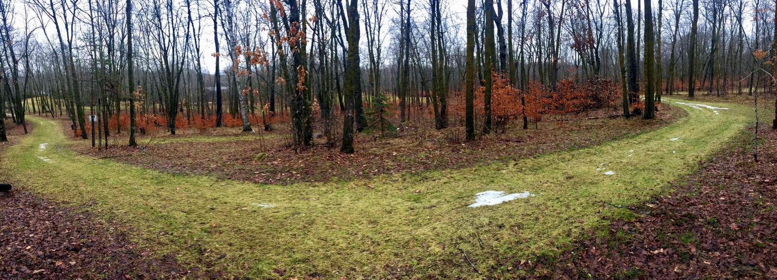 Sukkerbusk ski trail ready for the next round of snow. November 28th, 2016.