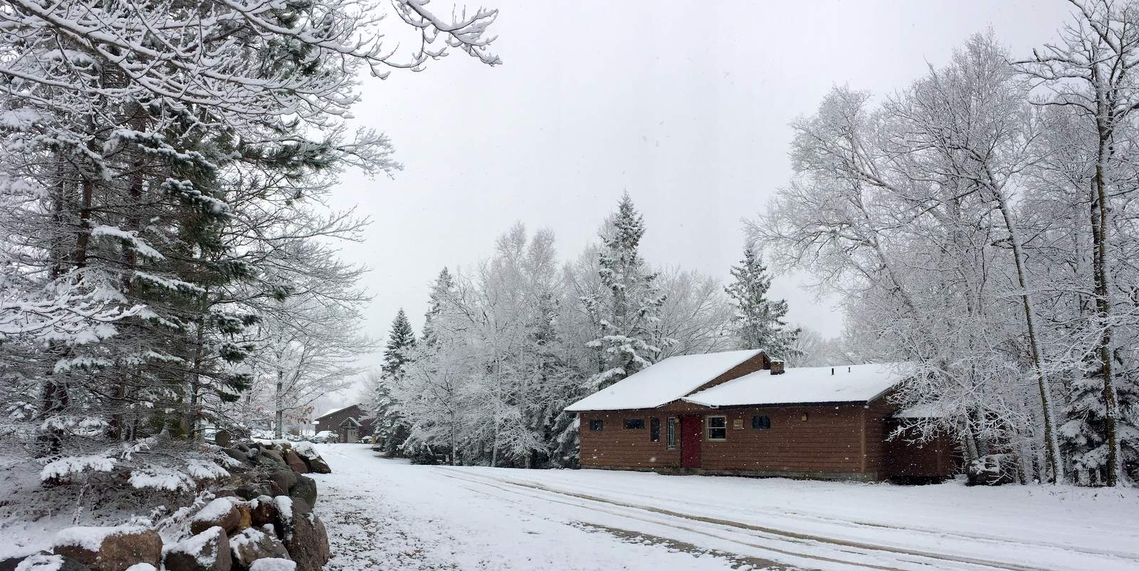 Wintry scene near Brant cabin. November 30th, 2016