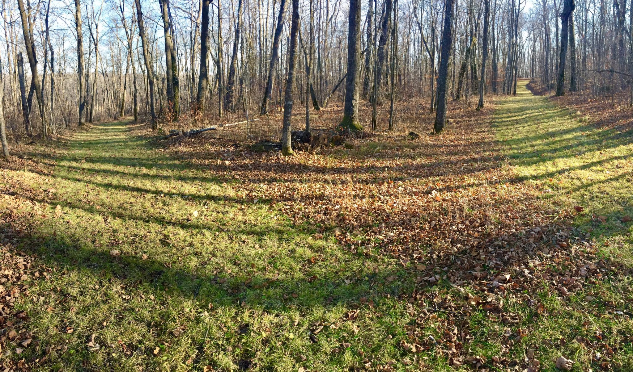 Ready for snow! Intersection of Poki Loki and Sap Run ski trails. November 7th, 2016.