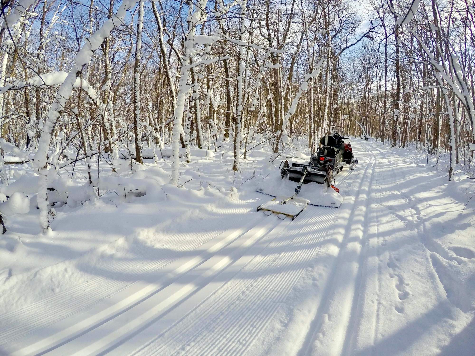 Ground wind today blowing snow off the trees up high and exposed areas but still nice pockets of snowy scenes