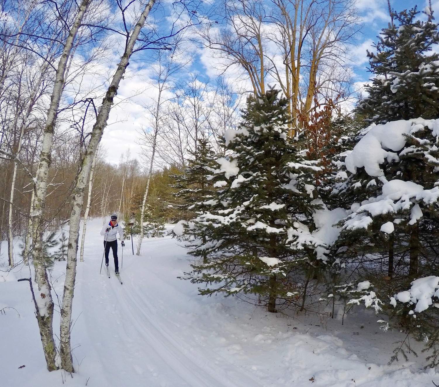 Classic striding on a groomed segment of Lucky's Loype. December 23rd, 2016.