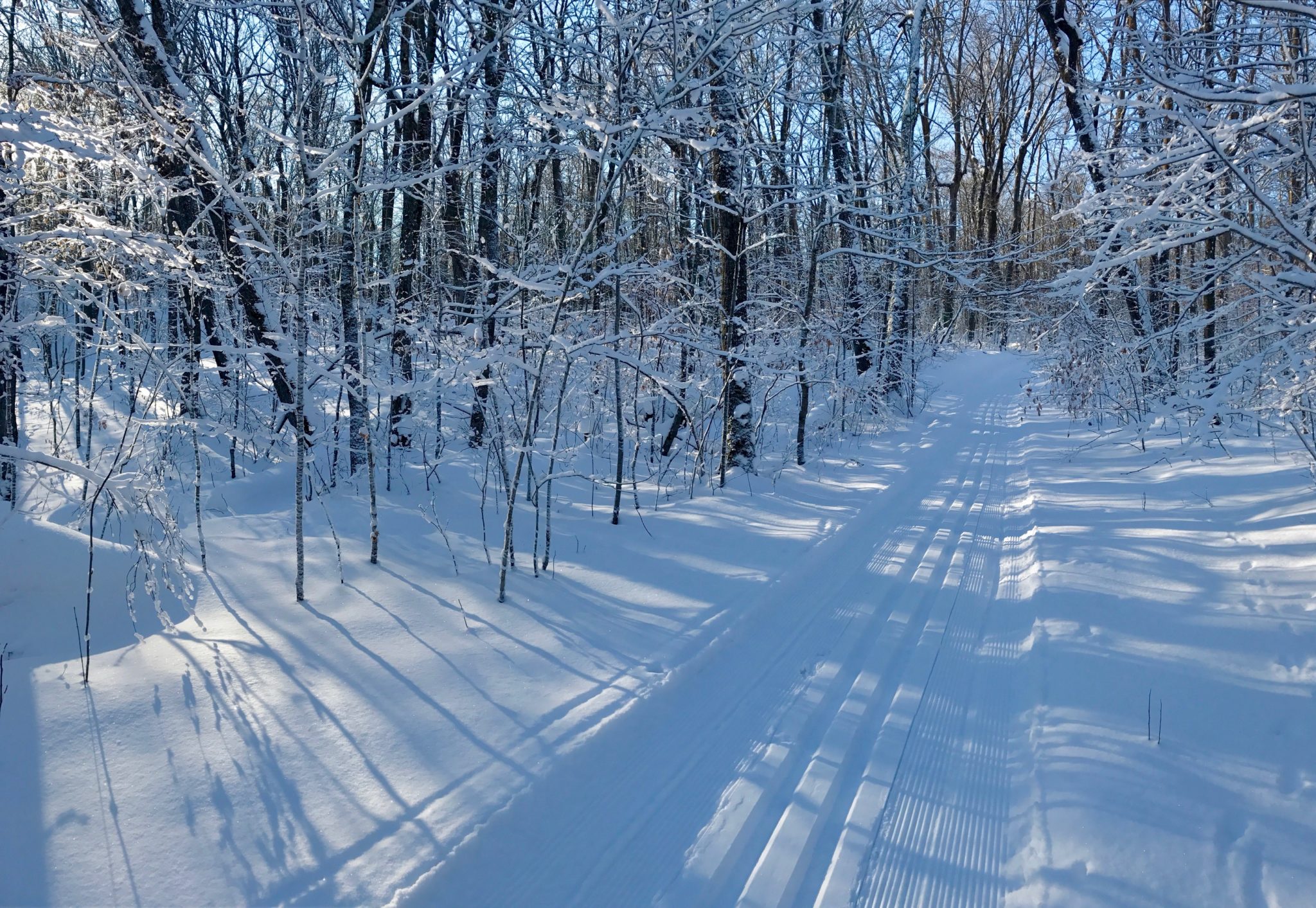 Roy's Run after fresh grooming and new snow. December 28th, 2016.