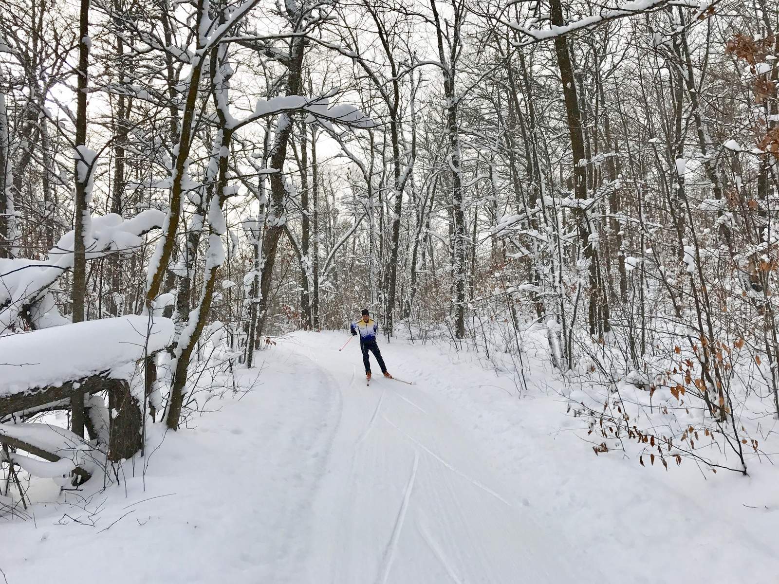 Bruce Adelsman on Skaters Waltz, December 8th, 2016.