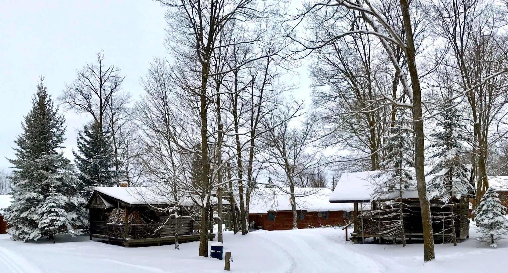 Snowy scene around the Finish Log and Sava Sauna cabins, January 2nd, 2016.