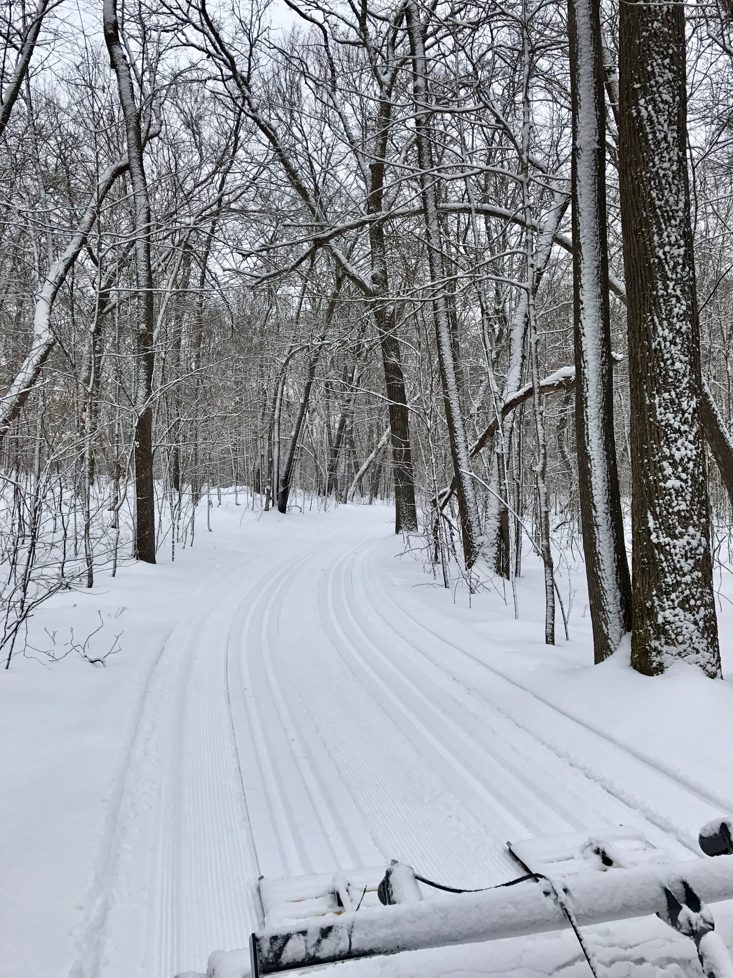 Twin Lakes grooming.