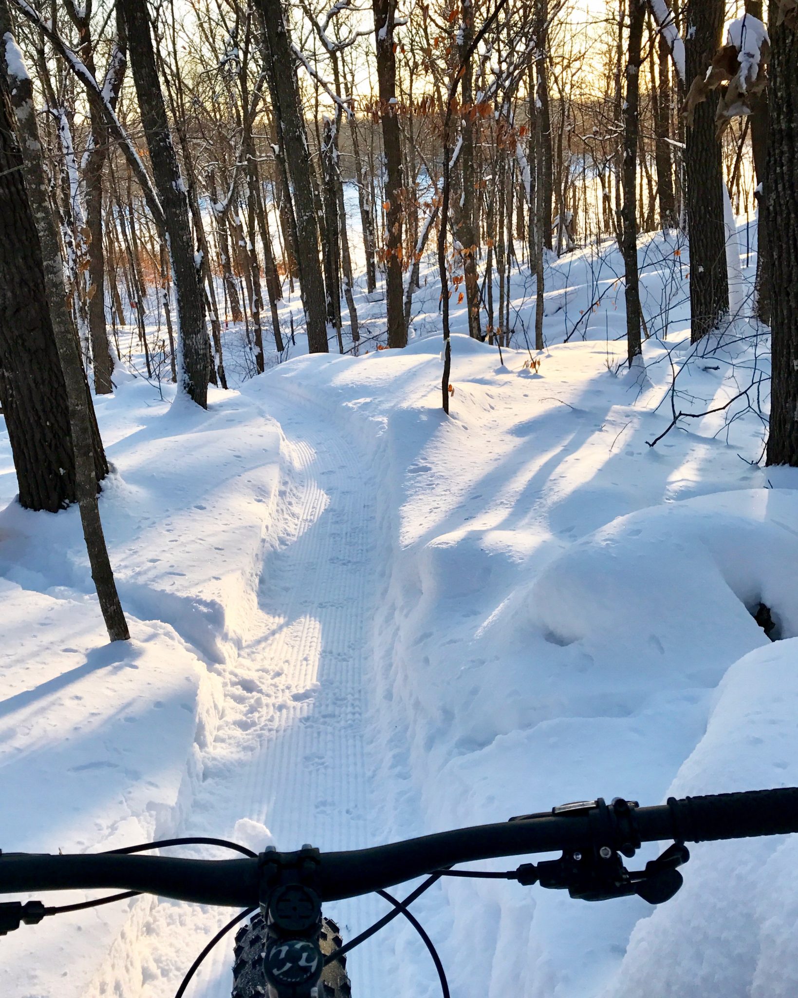 Fat bike loop in great shape after Ben's grooming the night before