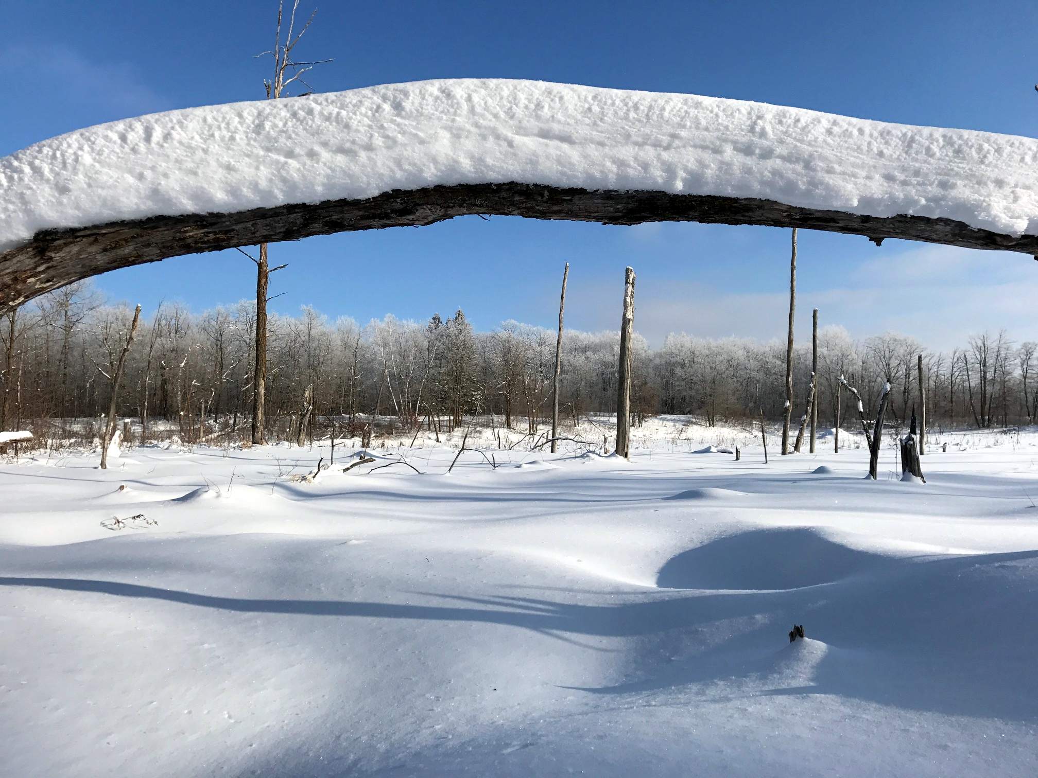 Winter scene as seen from Skaters Waltz extension. January 5th, 2017.