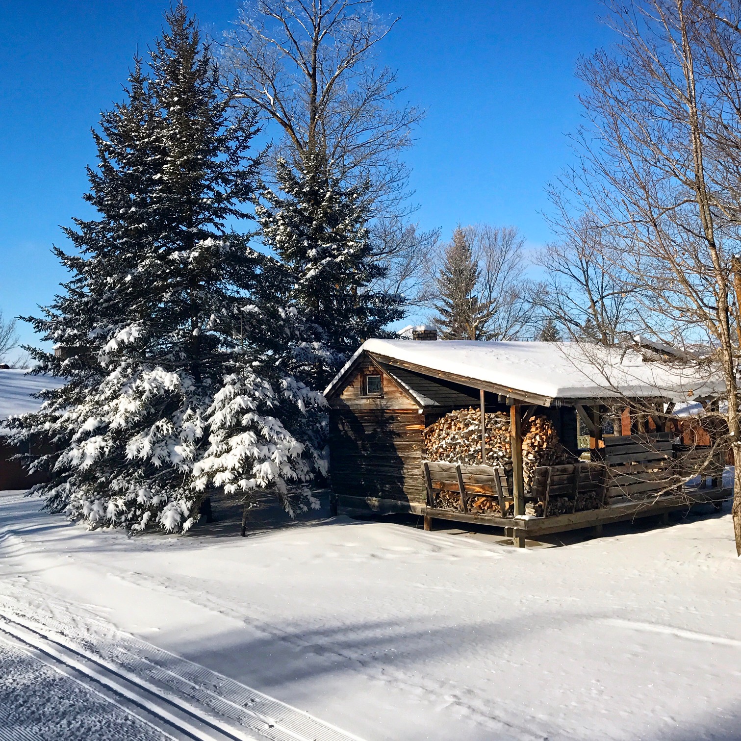 Bluebird day as seen looking towards the Finish Log cabin. January 7th, 2017.