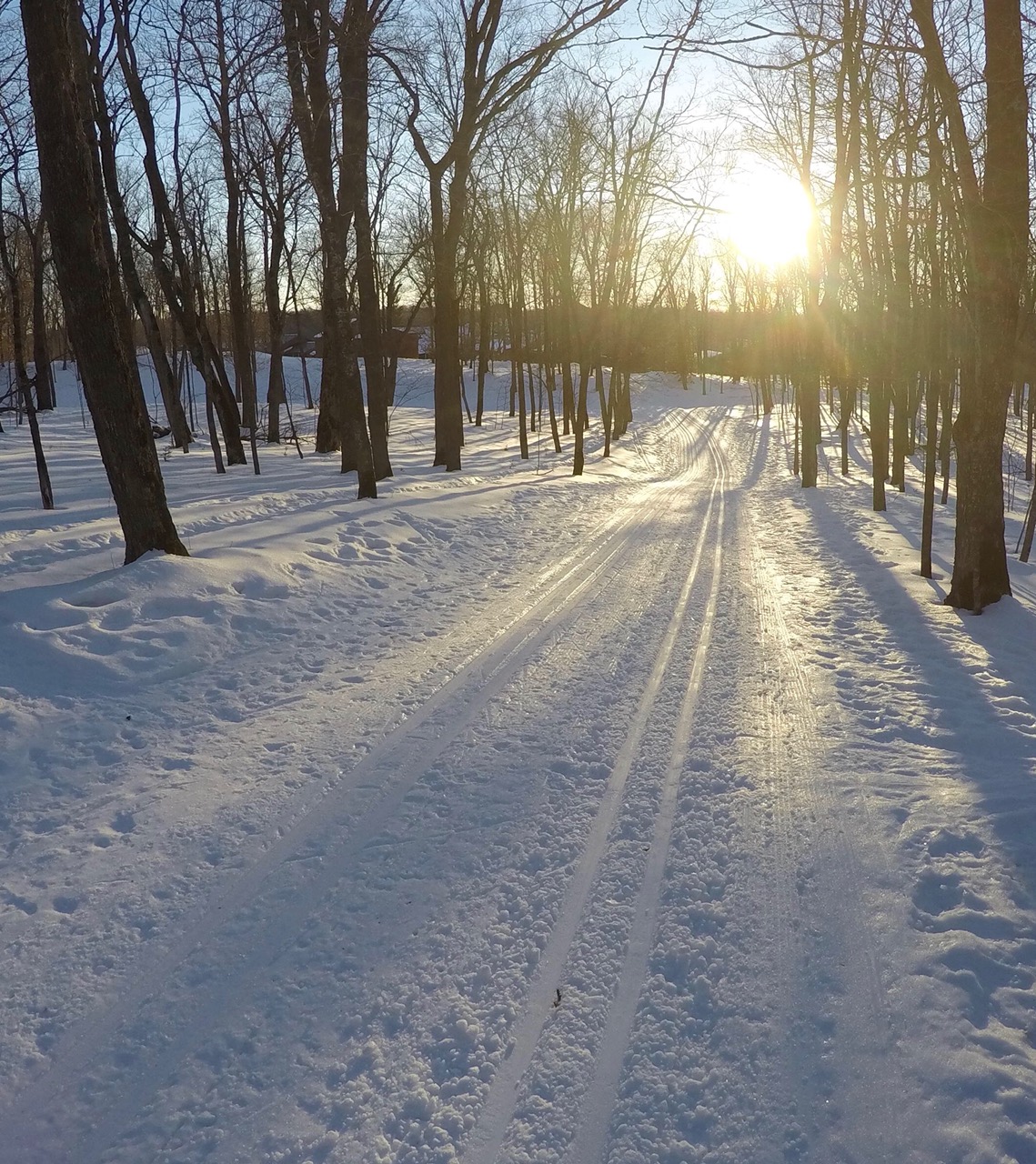 Sap Run at dusk, tracks glazing over. February 13th, 2017.