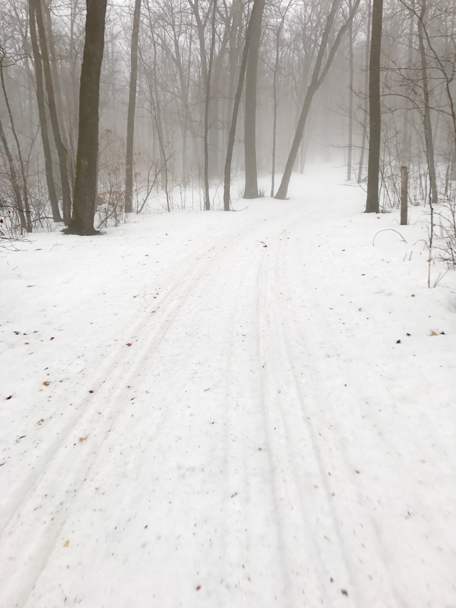 Sap Run mid day, February 20th, 2017.