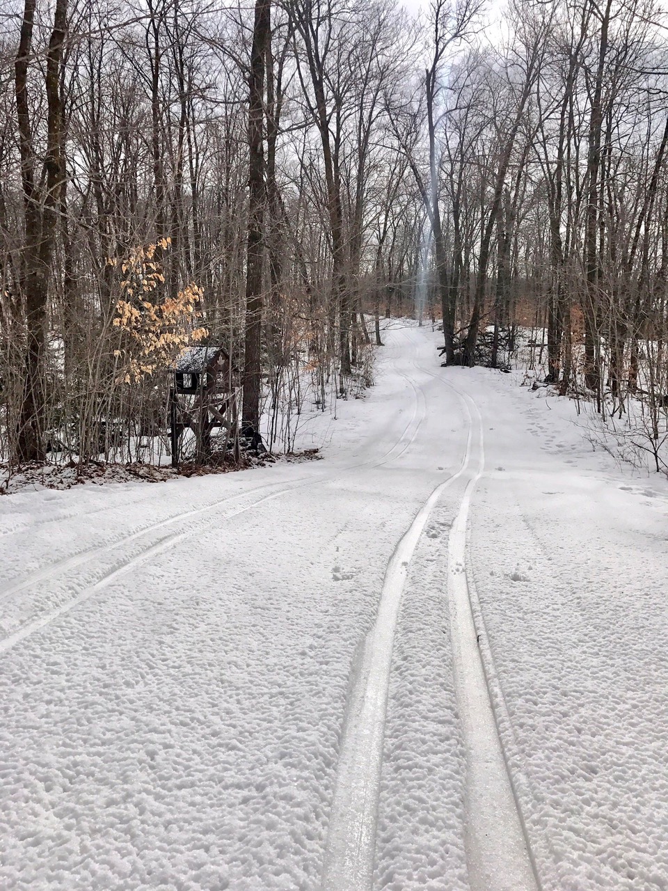 Start of Sap Run Thursday morning, February 23rd, 2017. Fast tracks since skied on while snow was wet but velcro like surface for edging. Sap Run with thin cover on ridges, better coverage on second half. Use caution!