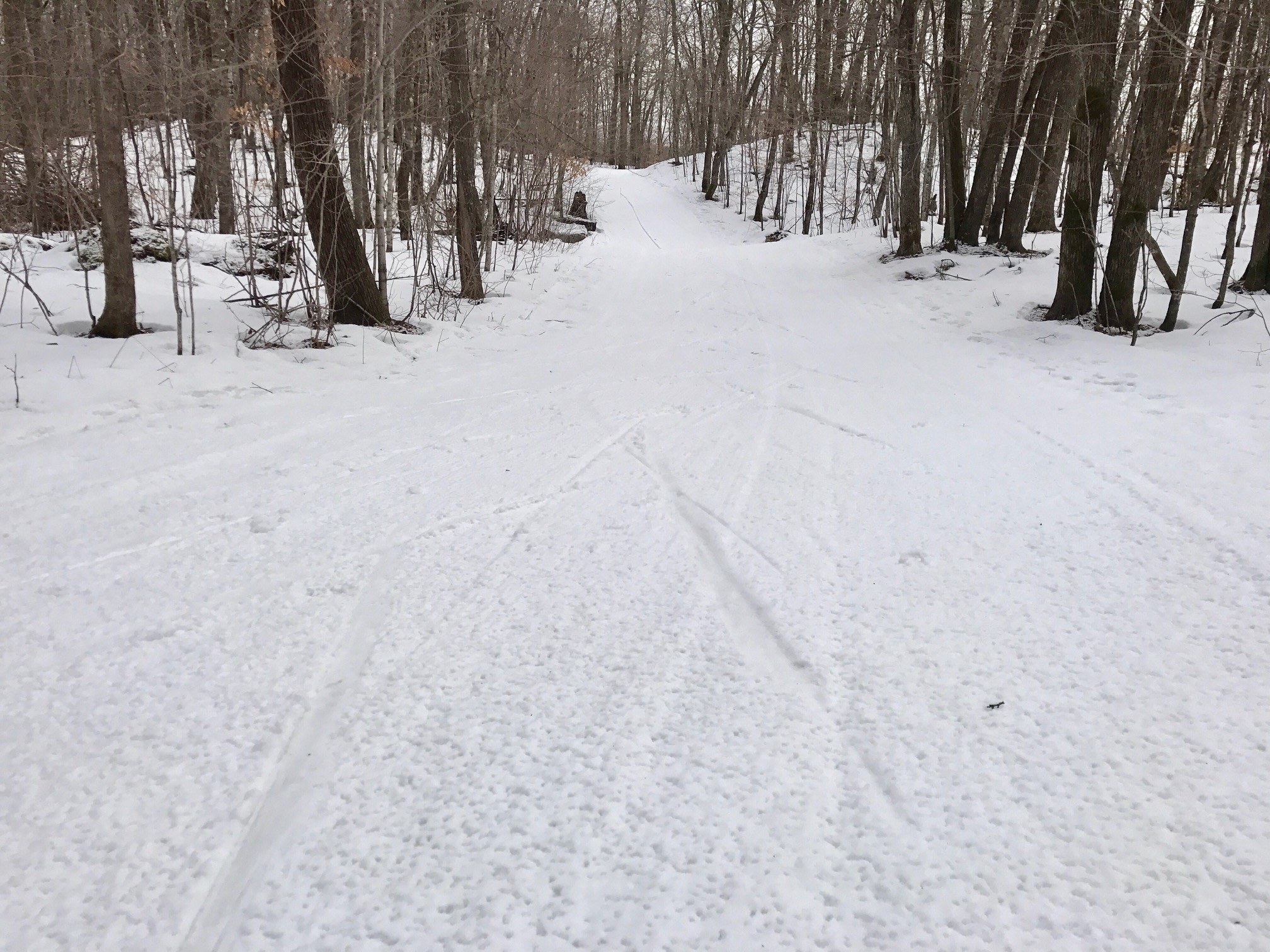 Skaters Waltz Thursday morning, February 23rd, 2017. Skaters and other skate trails will be groomed today. Conditions will be fast but good structure for edging and some of the best skiing of the year! Use caution on the Kamikaze hill section. Icy spots. Rest of look excellent coverage.