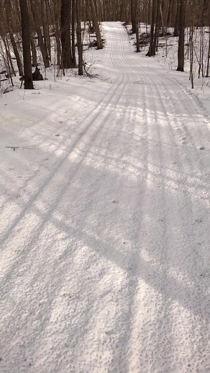 Good section on Twin Lakes ski trail, morning February 24th, 2017. Hard base, sticky surface. If skiing Twin Lakes or the western trails, expect more variable conditions including icy and thin areas. With caution, skiable. 