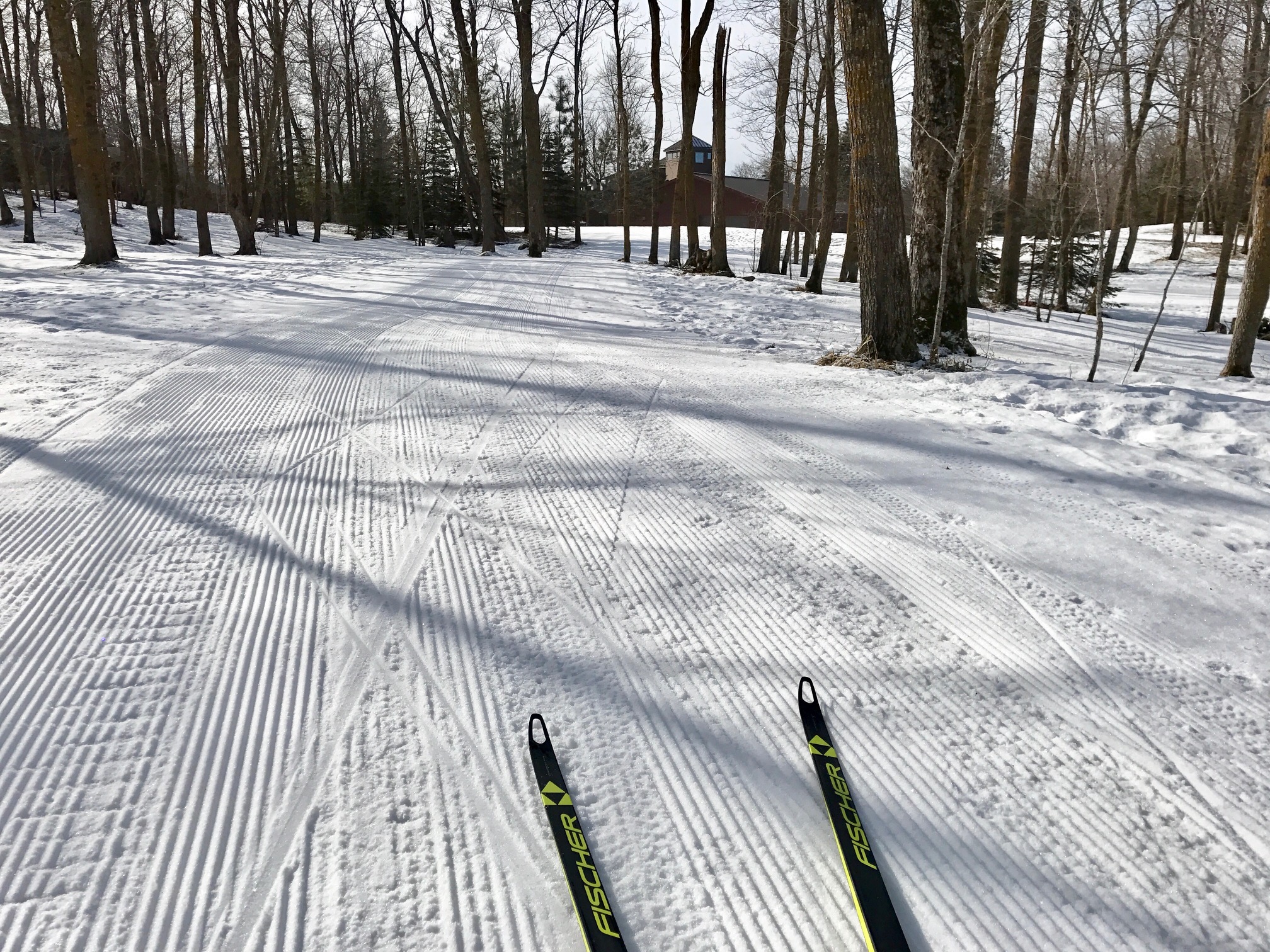 Great skate skiing conditions. February 24th, 2017.