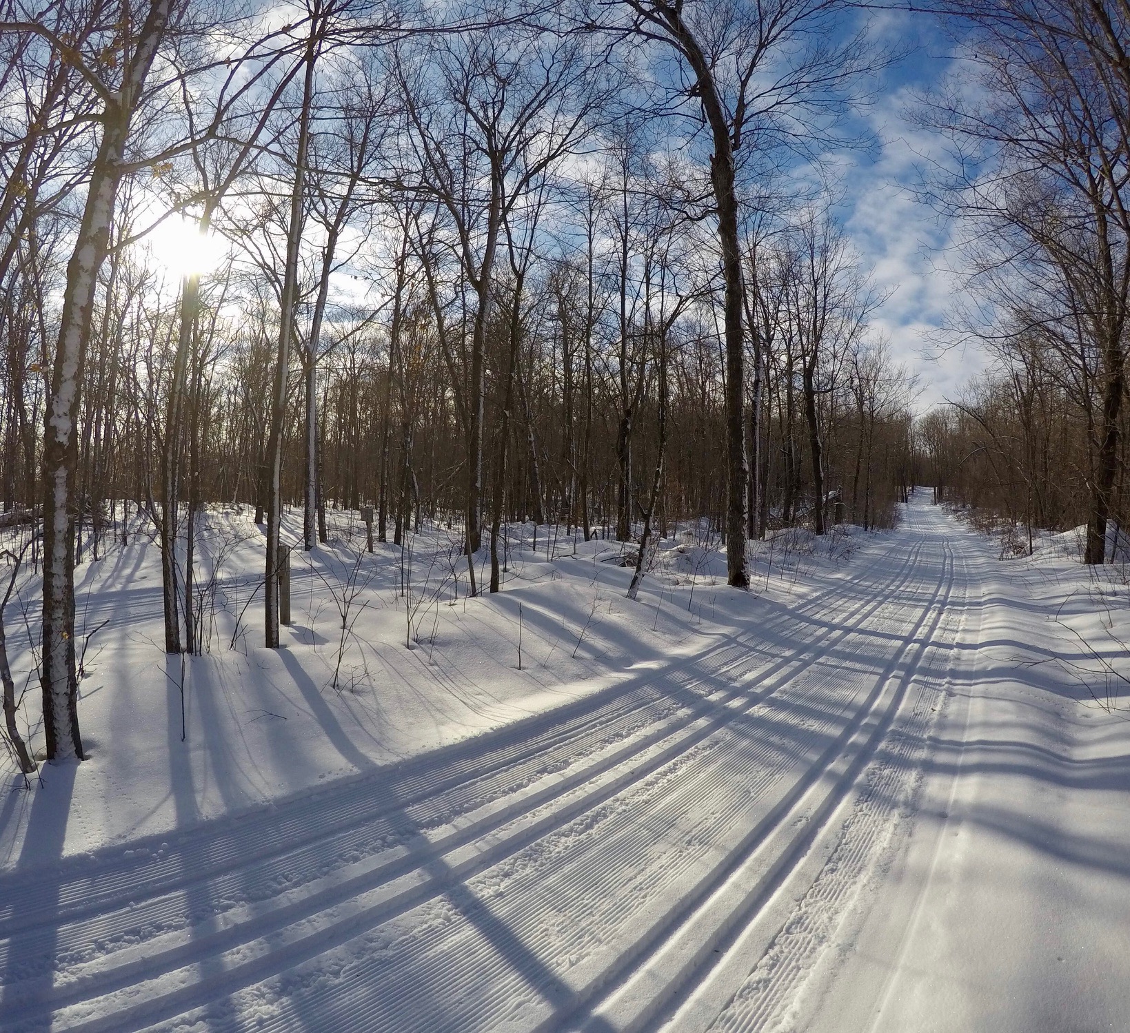 End of Twin Lakes trail