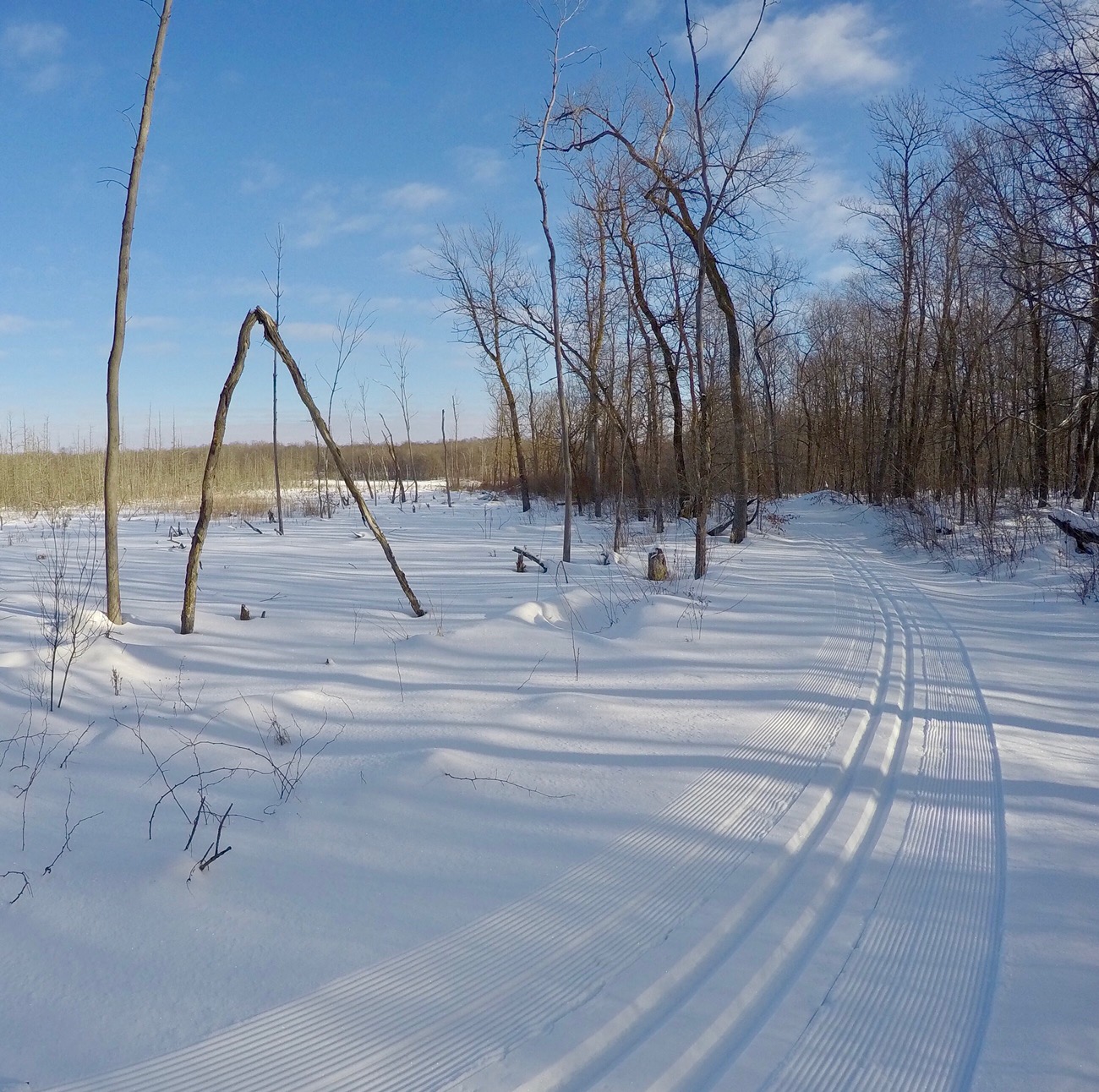 Island Lake trail