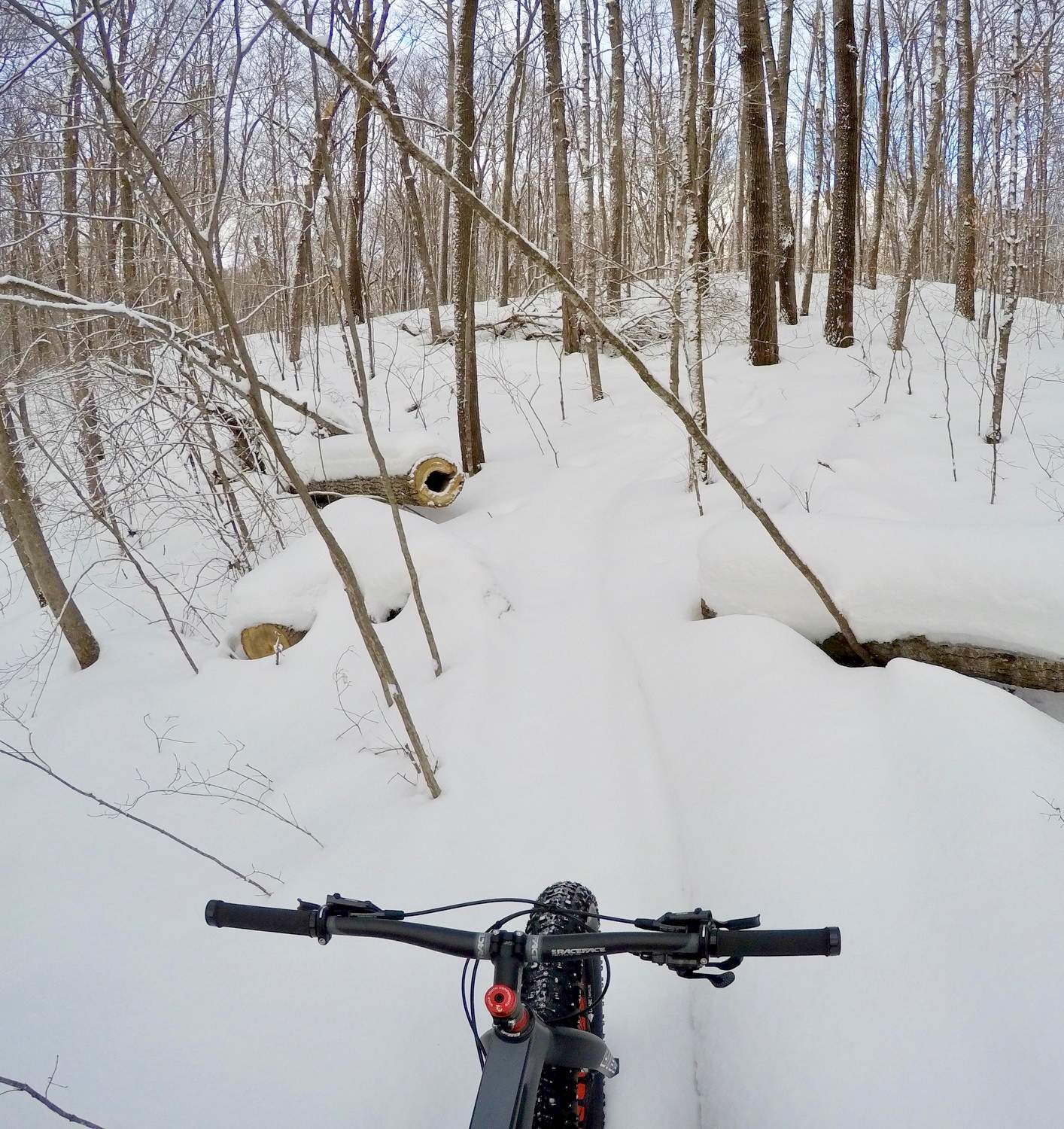 New snow slowing riding down compared to the weekend but conditions are very nice. January 31st, 2017.