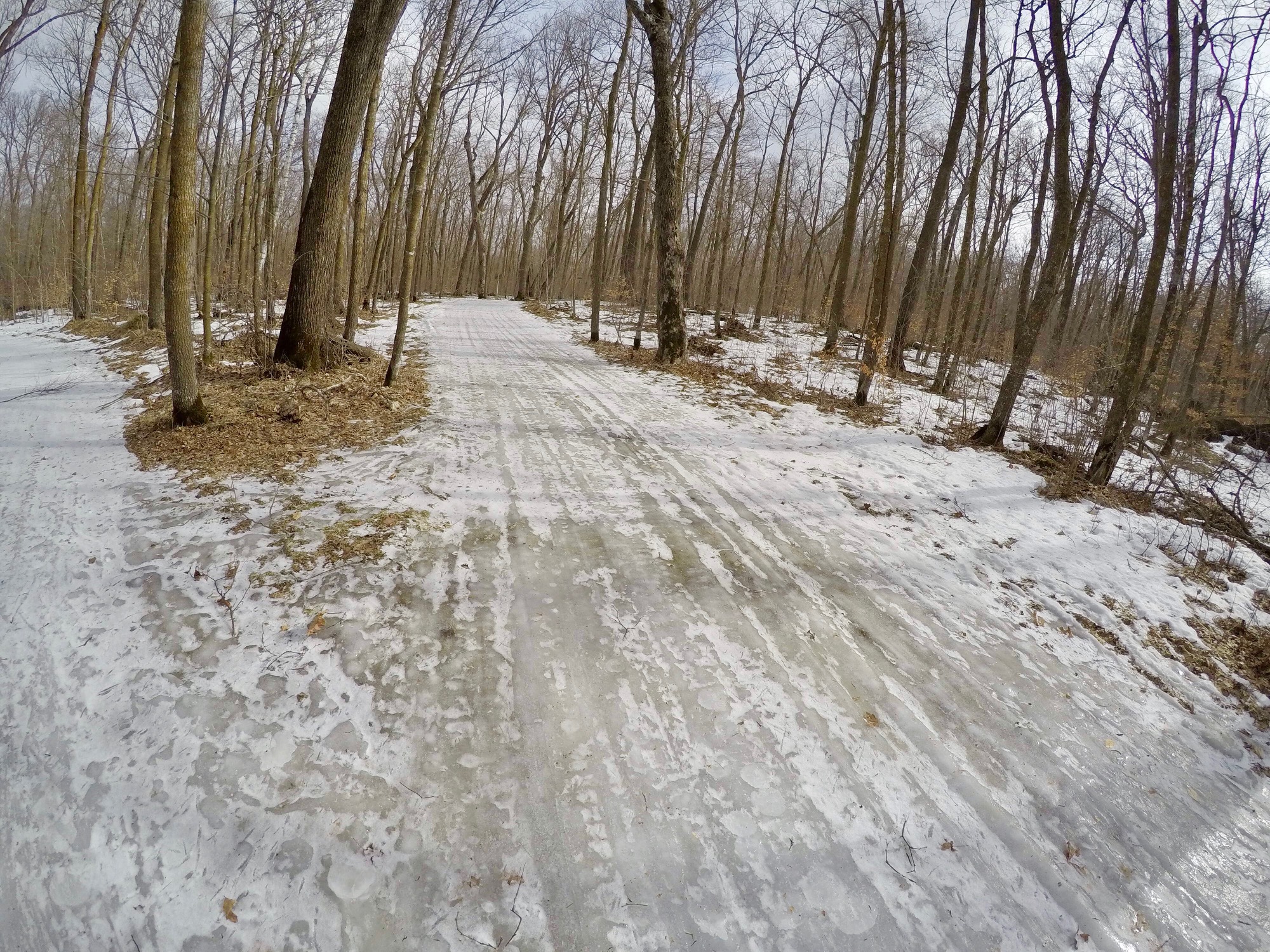 End of Sap Run ski trail, March 7th, 2017. Typical of most of the trails which have a ice base coverage.