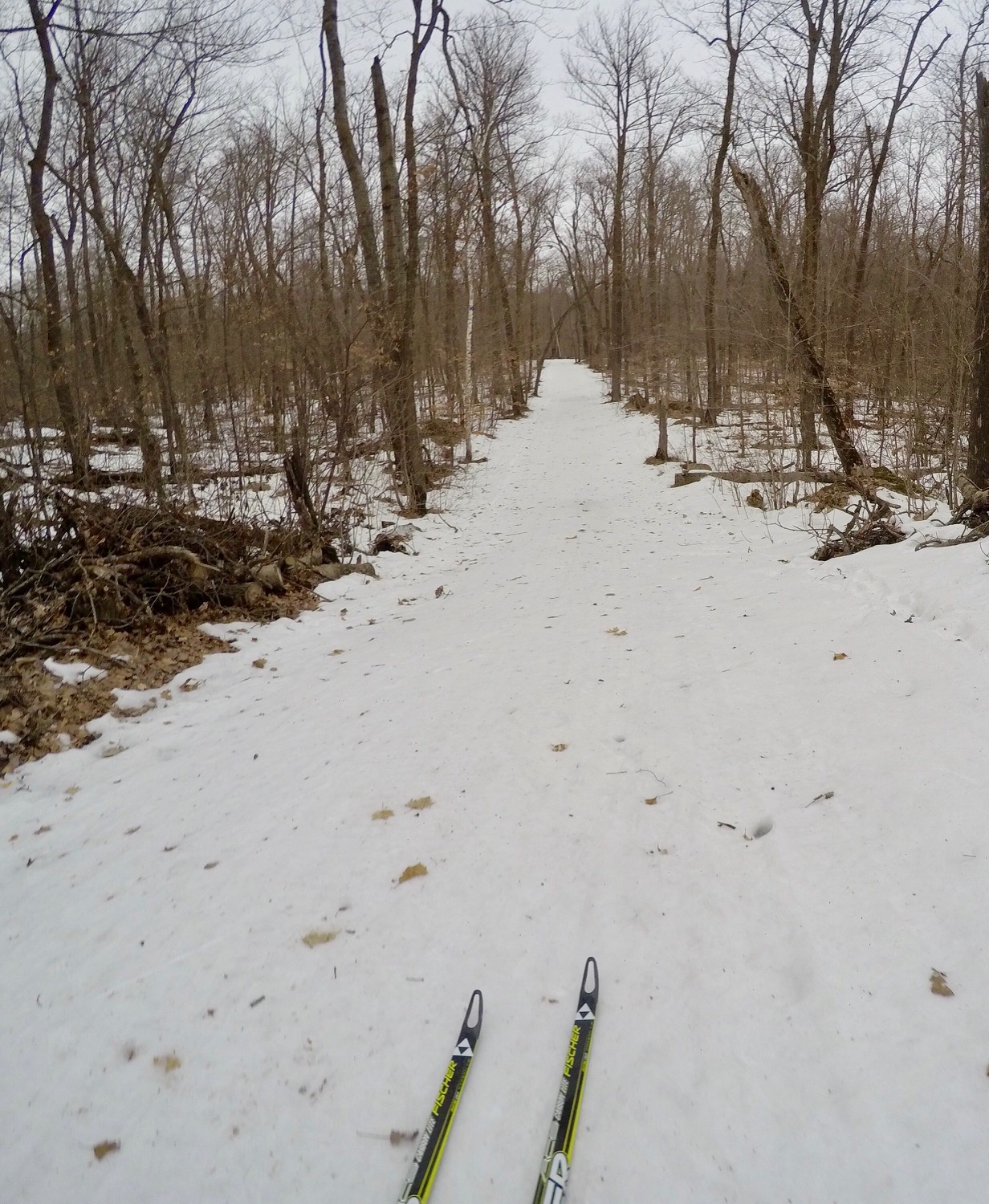 Back side of Skaters Waltz good coverage but tough skiing with rock hard icy base. March 7th, 2017.