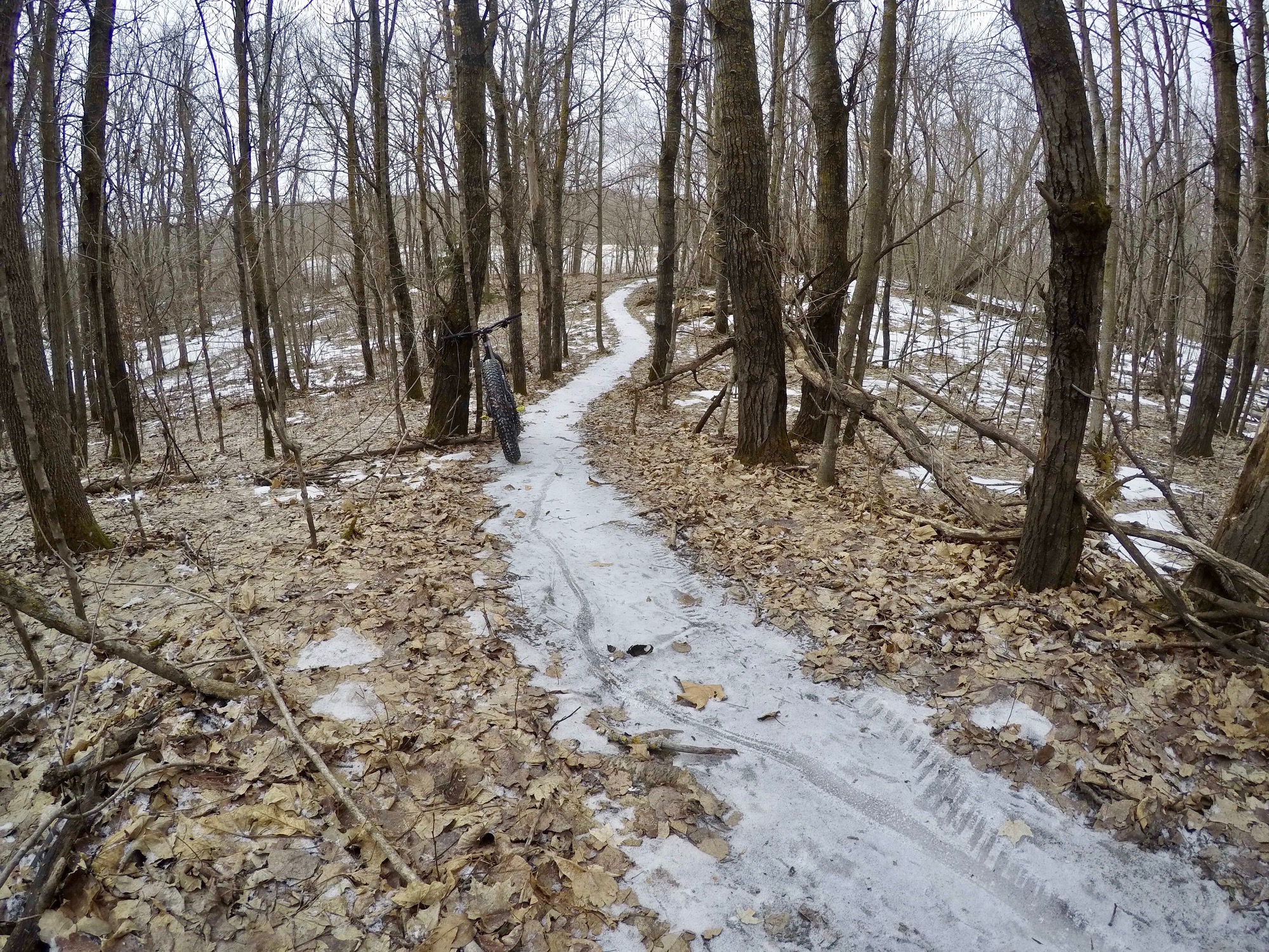 Ribbon of ice on the Twin Lakes singletrack. Pretty much impossible to ride and closed until further notice. March 7th, 2017.