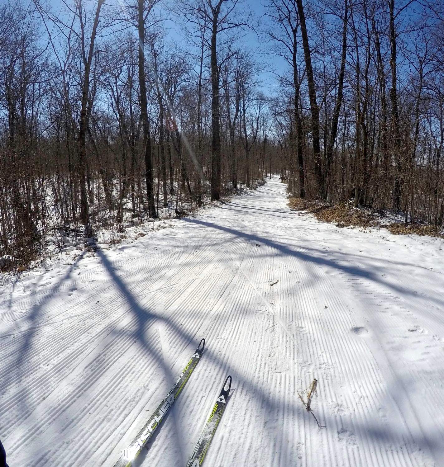 Dusting of new snow groomed on a 2.5km loop making for skiable conditions. March 13th, 2017.