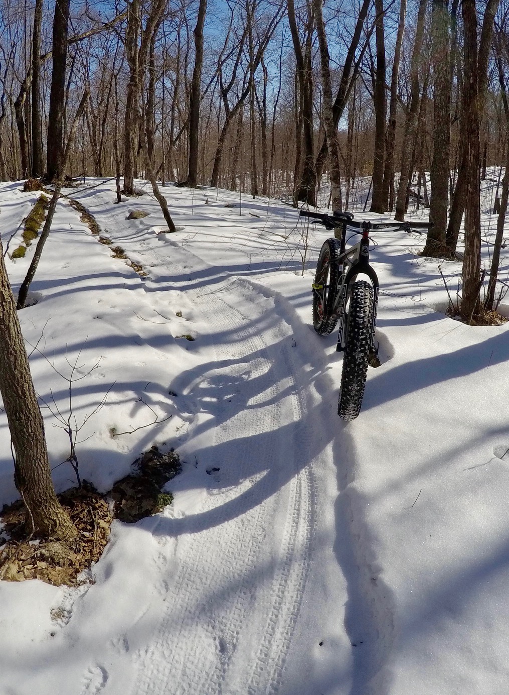 Twin Lakes singletrack in great shape for fat biking, particularily the first and last segments. March 2nd, 2017. Please ride in the morning over the weekend.
