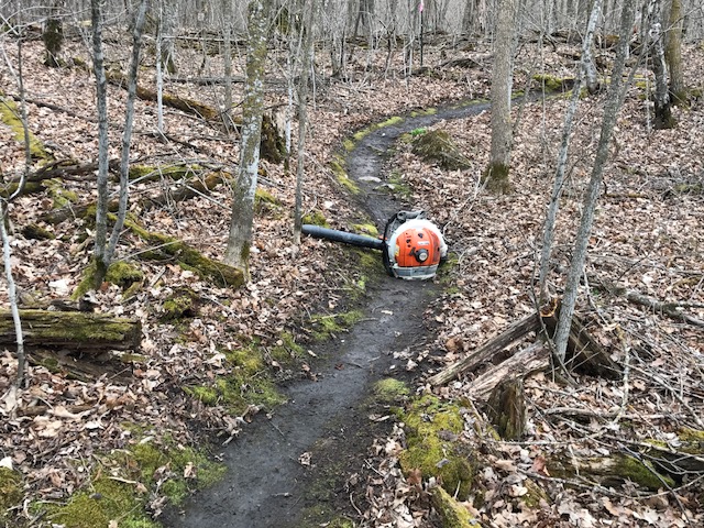 Clearing singletrack on Twin Lakes loop, April 19th, 2017.