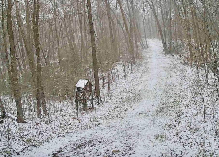 Snow Sunday morning April 23rd, 2017 as seen from the Sap Run trail cam.