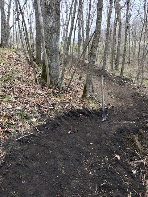 Trail work on new mountain bike trail. April 24th, 2017.