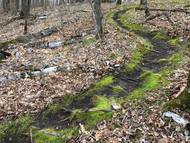 Classic singletrack cleared and now open after being closed last year. April 24th, 2017.