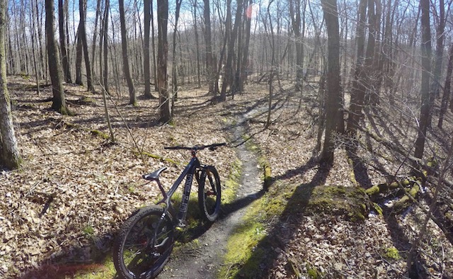 Singletrack in great shape after drying out from snow earlier in the week. April 28th, 2017.