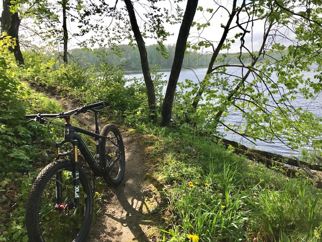 Twin Lakes singletrack lakeside. May 16th, 2017. The foliage has exploded the past week!