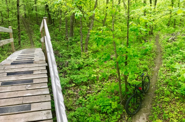 Bridge section early afternoon before rain moved in. May 20th, 2017.