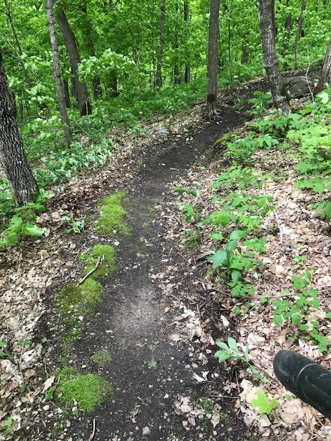 Clearing singletrack on Twin Lakes loop. The entire loop cleared this week as well as select segments on the main loop. May 25th, 2017.